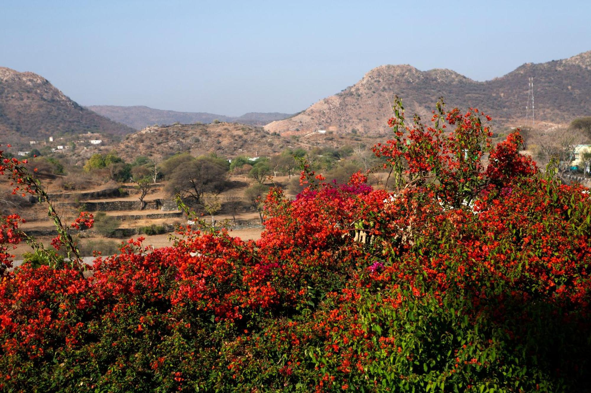 Raas Devigarh Hotel Delwara Exterior photo