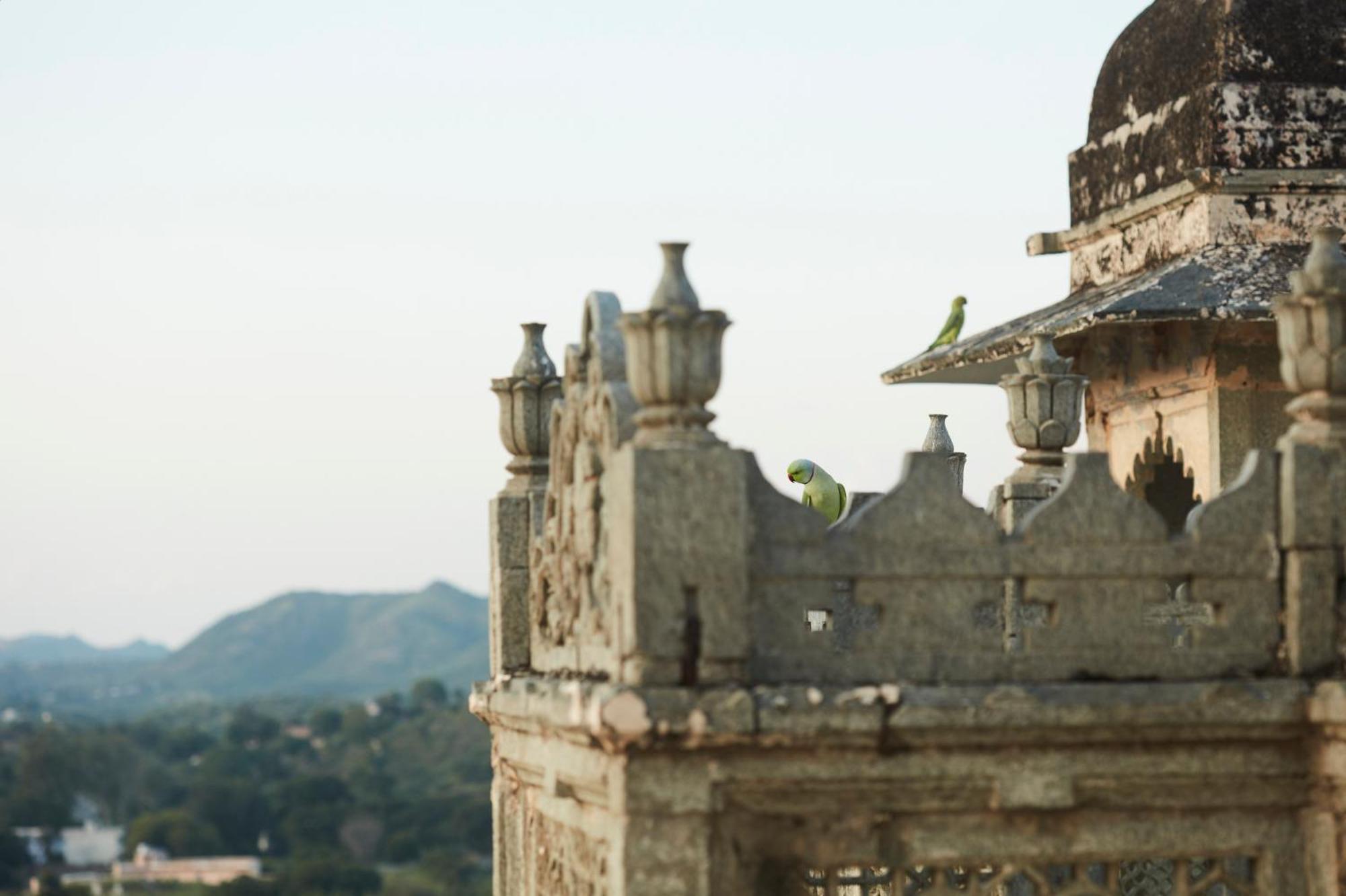Raas Devigarh Hotel Delwara Exterior photo
