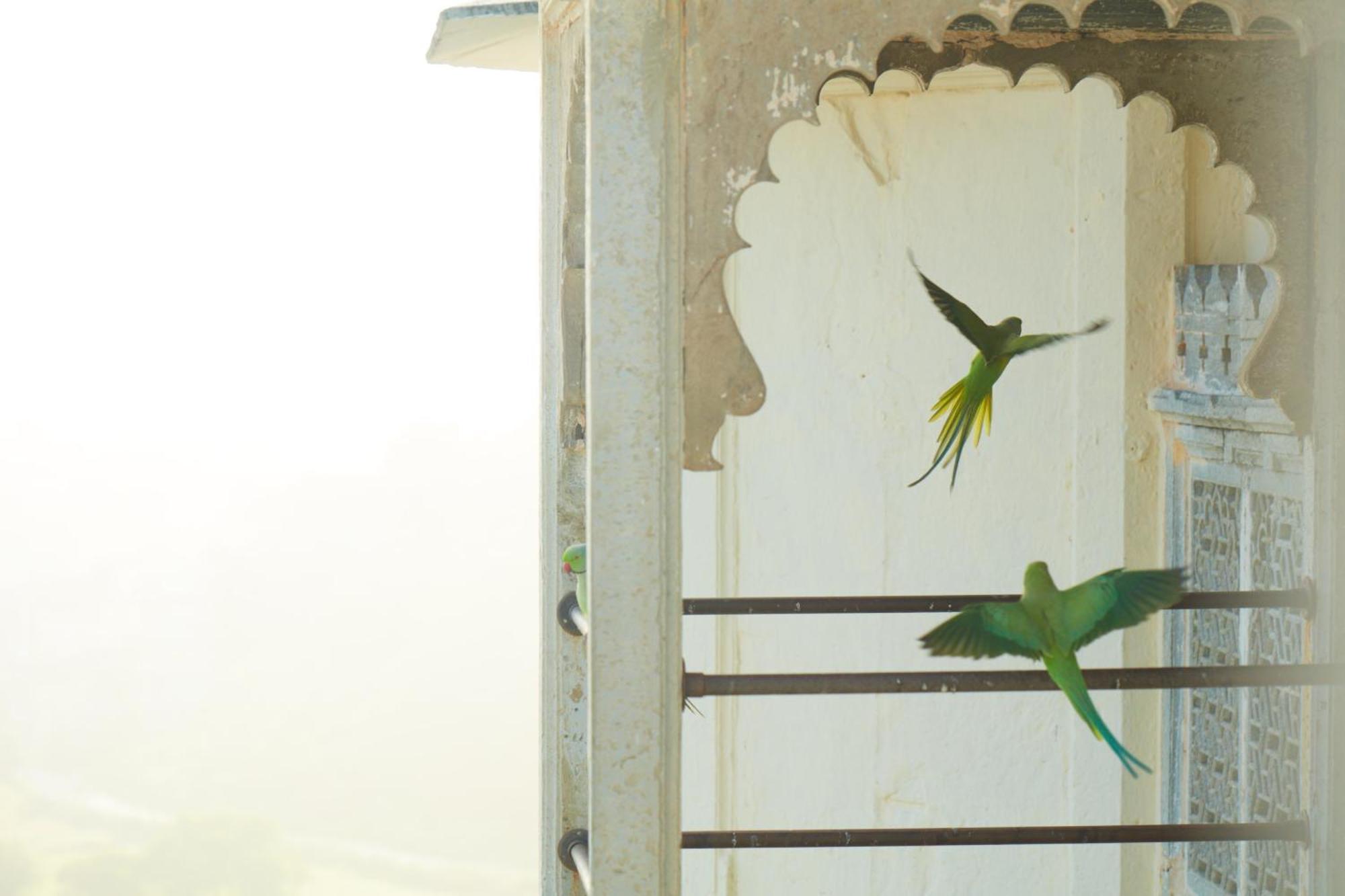 Raas Devigarh Hotel Delwara Exterior photo